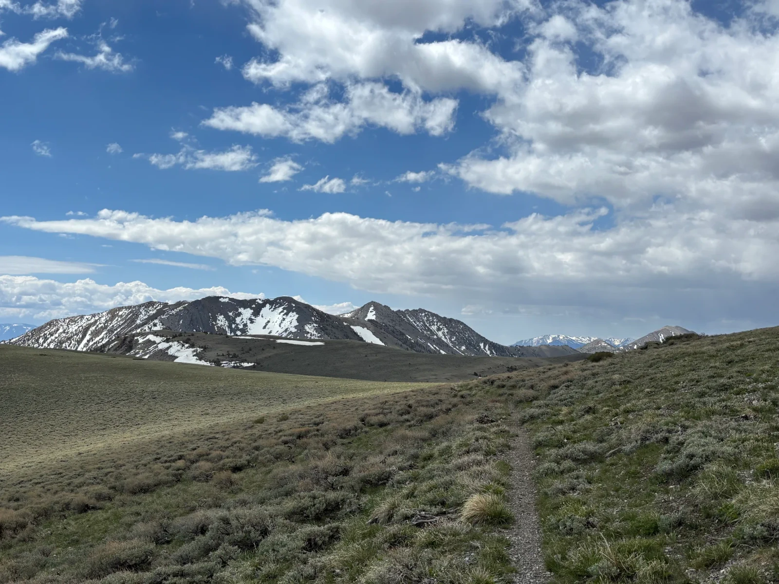 Toiyabe Crest Trail